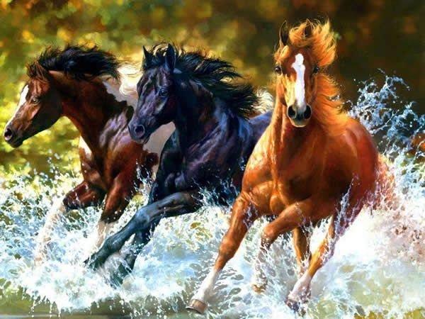 Carruagens - A arte de Cavalos